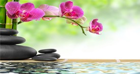 Sophrologie Cabinet à Metz